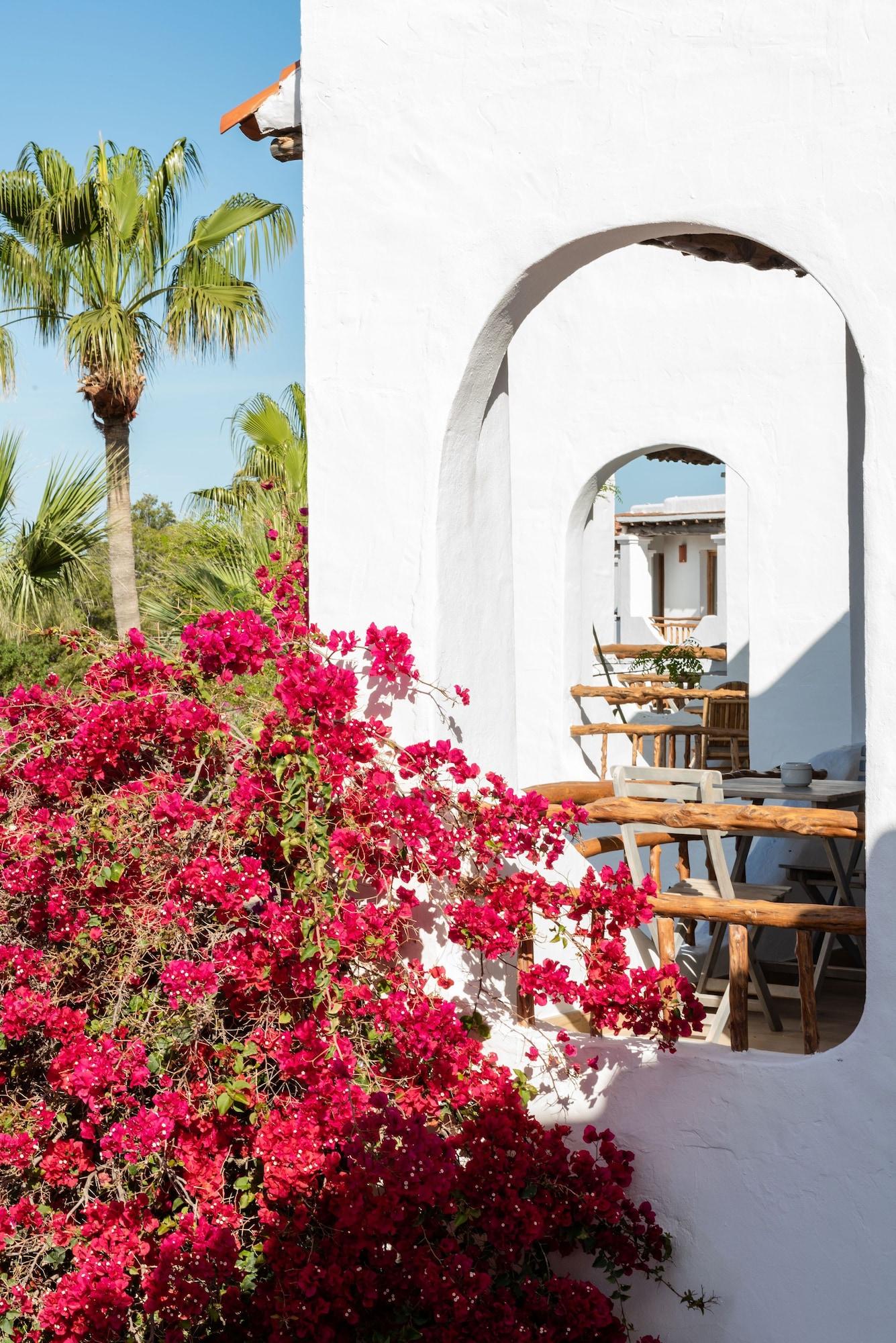 Hotel Petunia Ibiza (Adults Only) Cala Vadella  Zewnętrze zdjęcie